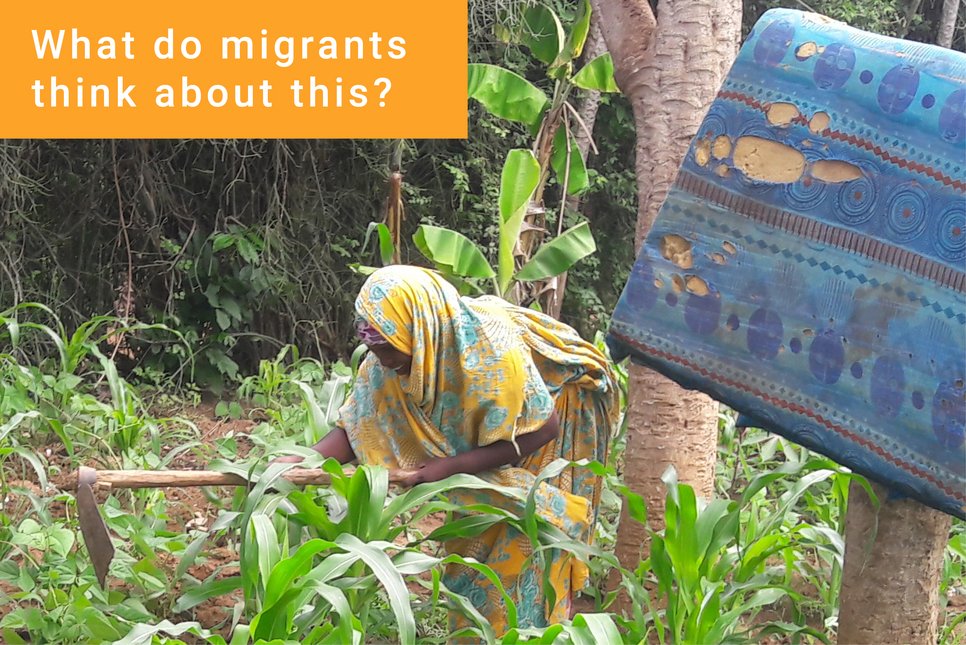 What do migrants think about this?